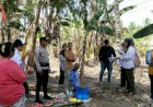 Amankan-Pengukuran-Tanah-dan-Tanggap-Pohon-Tumbang,-Bhabinkamtibmas-Maubeli-Perkuat-Sinergi-dan-Keselamatan-Warga