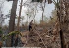 Respons-Cepat-Polsek-Miomaffo-Timur-Bersama-Warga-dan-BPBD-Padamkan-Kebakaran-Hutan-di-Oesena