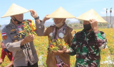 Panen-perdana-di-paroki-Lurasik,-Kapolres-TTU-:-contoh-bagi-Kapolsek-dan-Bhabinkamtibmas-untuk-bertani