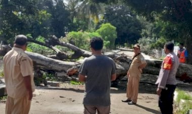 Bhabinkamtibmas-Humusu-Gerakkan-Warga-Bersihkan-Pohon-yang-Tumbang