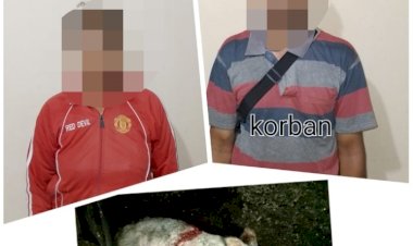 Ternak-Babi-Milik-AM-Ditebas-Tanpa-Sebab-Hingga-Mati,-Istri-Lapor-Polisi