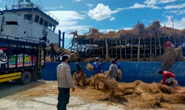 Polres-TTU-Rutin-Operasi-Kegiatan-Angkut-Hewan-di-Pelabuhan-Wini