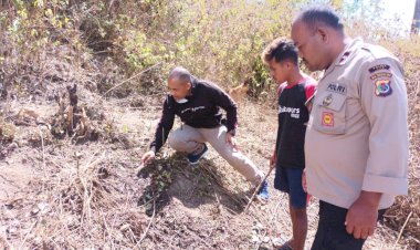 Pencurian-Sapi-di-Tunbaen,-Polsek-Bisel-Turun-TKP