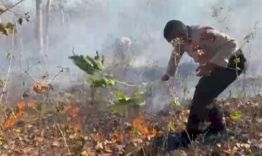 Sinergitas-Anggota-Polres-TTU-dan-BPBD-Padamkan-Kebakaran-Hutan-di-Desa-Seo