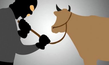 Wakapolres-TTU-Pimpin-Anggota-Tangkap-Pelaku-Pencuri-Ternak-Sapi