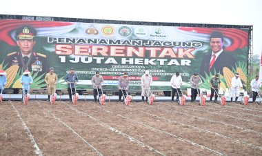 Permudah-Petani-Jual-Hasil-Panen,-Polda-Kalbar-dan-Pemkab-Bengkayang-Bangun-Pabrik-Jagung