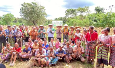 Gelar-Panen-Raya-Jagung-di-Desa-Letneo-Selatan;-Tuai-Apresiasi-Wakil-Gubernur-NTT