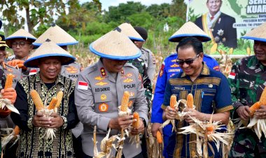 Kapolda-NTT-Pimpin-Panen-Raya-Jagung-Serentak,-Dorong-NTT-Jadi-Lumbung-Pangan-Nasional