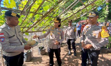 Sukseskan-Ketahanan-Pangan,-Kapolres-TTU-dan-Kapolsek-Insana-Utara-Gelar-Panen-Raya-Kebun-P2B