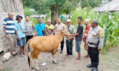 Sinergi-Bhabinkamtibmas-dan-Warga-Berhasil-Ungkap-Kasus-Pencurian-Ternak-di-TTU