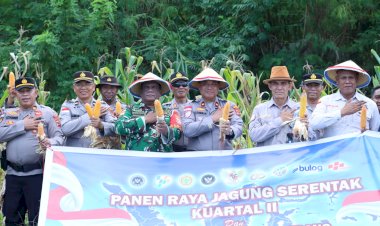 Polres-TTU-dan-Kelompok-Tani-Atapaen-Sukseskan-Panen-Raya-Jagung-Kuartal-II-Tahun-2026