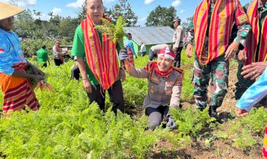 Panen-Simbolis-Wortel-di-Desa-Lemon,-Polres-TTU-Perkuat-Dukungan-Program-Kapolri-Menuju-Swasembada-Pangan