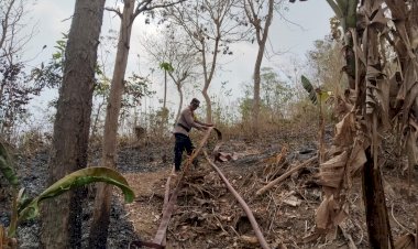 Respons-Cepat-Polsek-Miomaffo-Timur-Bersama-Warga-dan-BPBD-Padamkan-Kebakaran-Hutan-di-Oesena