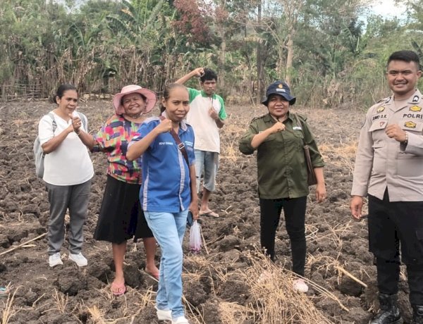Dukung-Program-Ketahanan-Pangan,-Briptu-Junio-Kadati-Gerakkan-Kelompok-Tani-Bansone-Olah-Lahan-Tidur