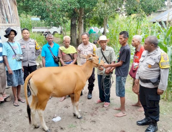 Sinergi Bhabinkamtibmas dan Warga Berhasil Ungkap Kasus Pencurian Ternak di TTU