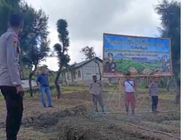 Polsek Miomaffo Barat Tinjau Perkembangan Kebun Bawang Putih, Perkuat Sinergitas Dukung Ketahanan Pangan
