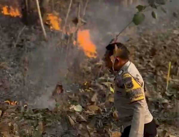 Gerak Cepat Polsek Miomaffo Barat Padamkan Kebakaran Hutan di Desa Haulasi, Seluas 2 Hektare Terdampak