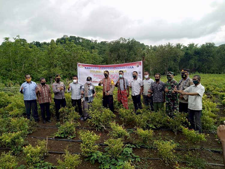 LAUNCHING KAMPUNG TANGGUH KETAHANAN PANGAN  NUSANTARA DI DESA LOKOMEA, KECAMATAN BIBOKI UTARA