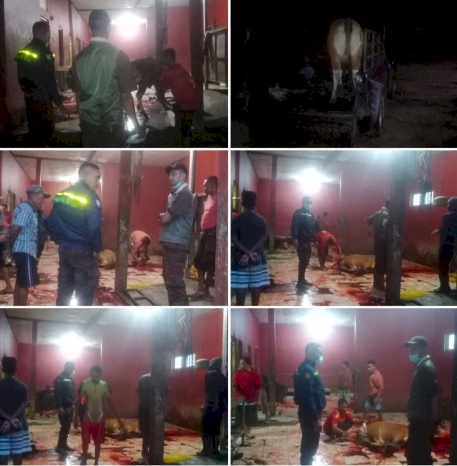 Monitor Lokasi RPH, Bhabinkamtibmas Maubeli Cek Siup Pengelola Pemotongan Hewan