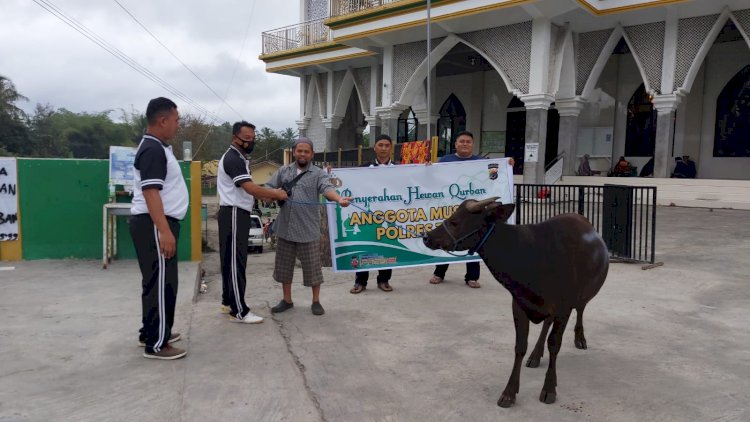 Jelang Idul Adha, Polres TTU Serahkan 3 Ekor Sapi Qurban