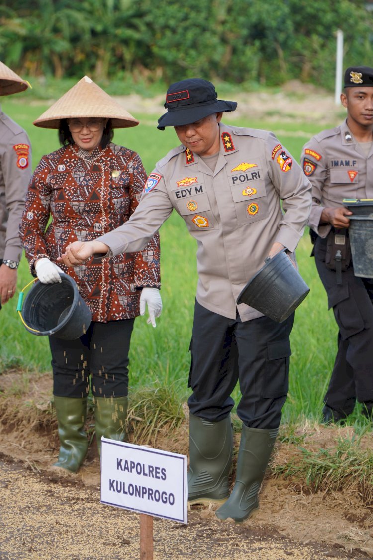 Dukung Ketahanan Pangan Nasional, Kakorbinmas Baharkam Polri Semai Padi di Kulonprogo