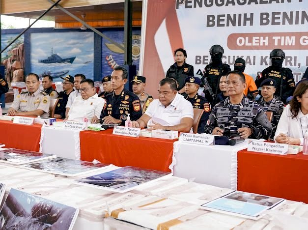 Bareskrim Polri : Gagalkan Penyelundupan 151 Ribu Benih Lobster di Perairan Bintan