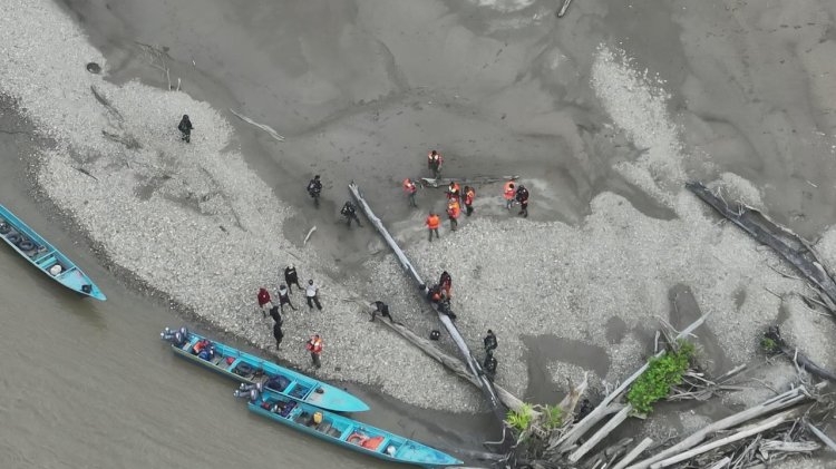 Tantangan Hutan dan Sungai Papua Barat dihadapi oleh Tim SAR dalam Pencarian Iptu Tomi Samuel Marbun