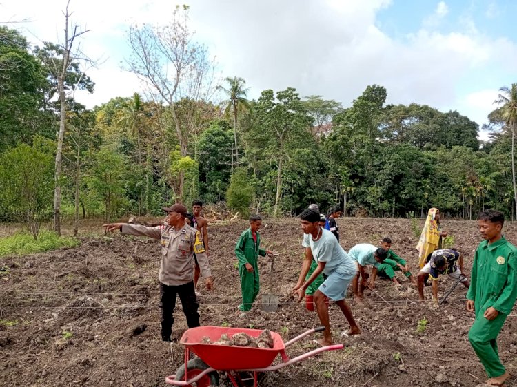 Sinergi Bhabinkamtibmas dan Pemuda Desa Popnam: Ubah Lahan Tidur Jadi Lumbung Pangan Produktif