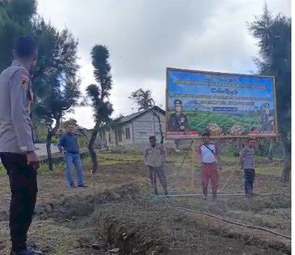Polsek Miomaffo Barat Tinjau Perkembangan Kebun Bawang Putih, Perkuat Sinergitas Dukung Ketahanan Pangan