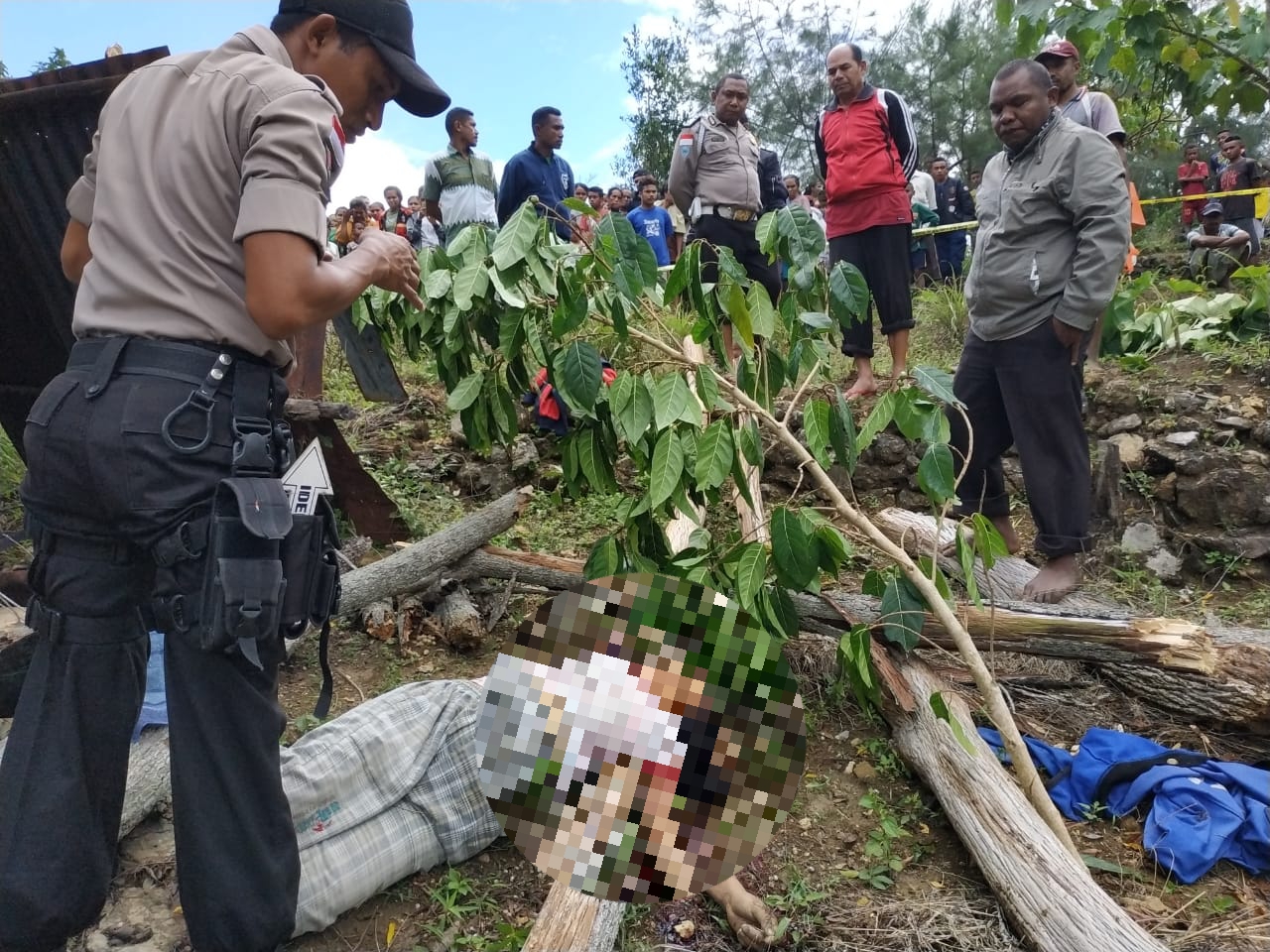 POHON KASUARI TUMBANG, POLSEK MIOBAR EVAKUASI KORBAN