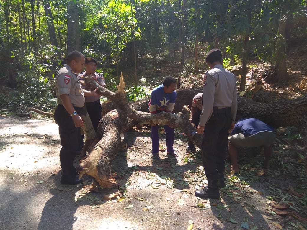 CEGAH KARHUTLA, POLSEK INSUT BERI HIMBAUAN