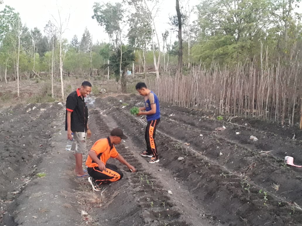 Dukung Kesejahteraan Warga, Polsek Miobar Lakukan Program Bhabin Prioneer