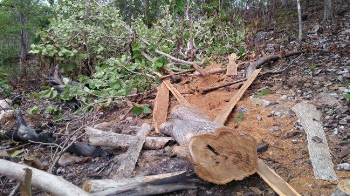 Ditetapkan Sebagai Tersangka, Kades Oenaem Masuk Rutan Polres TTU